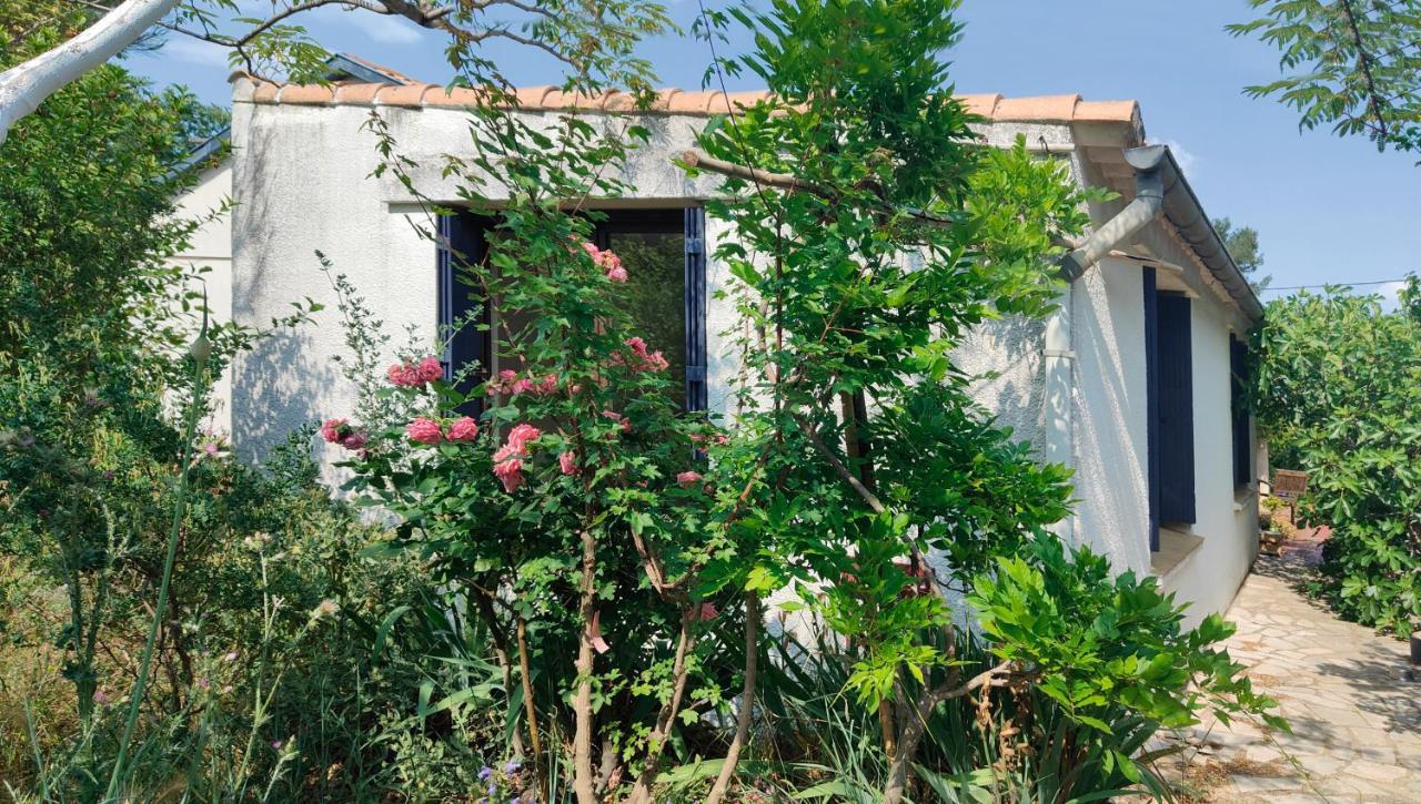 Chambre Privee Dans Maison En Garrigue Nîmes Eksteriør bilde